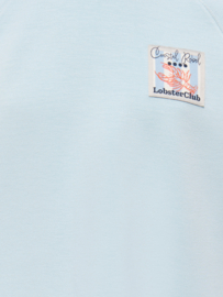 Loose t-shirt ONLY Ada winter sky