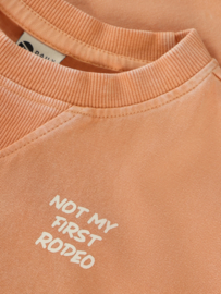 T-shirt DAILY7 BOYS 920349 sandstone