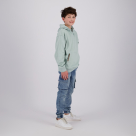 Hoodie RAIZZED BOYS Norman grey mist