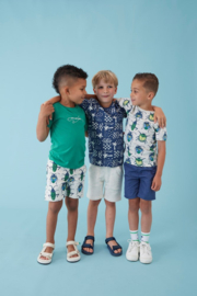 Shirt STURDY explore more groen 71700473