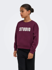 Trui SWEAT LS CREW NOOS fig
