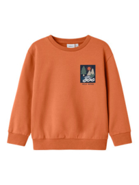 Sweater NAME IT Moran bruin