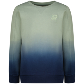 Sweater RAIZZED Novi hedge green