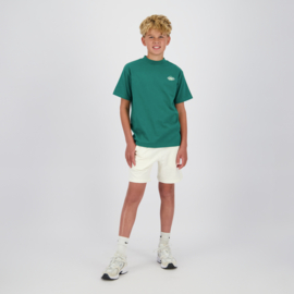 Shirt RAIZZED boys Hepic Jazlin green (R126KB300072-1476)