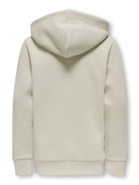 Hoodie ONLY&SONS Ceres silver