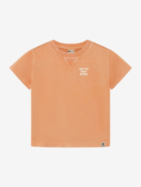 T-shirt DAILY7 BOYS 920349 sandstone
