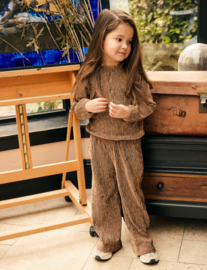 Wide fit broek DAILY7 GIRLS velvet affogat 930495