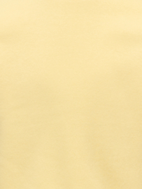Trui SWEAT L/S BACK/SLEEVE PRINT NOOS mellow yellow