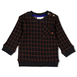 Sweater Feetje Go Fetch ruit 51602475