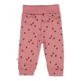 Broek FEETJE ladybug roze 52202482
