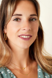 Ketting roestvrijstaal klavertje goud