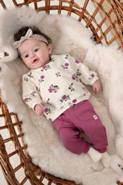Sweater FEETJE afternoon tea 51602822 creme
