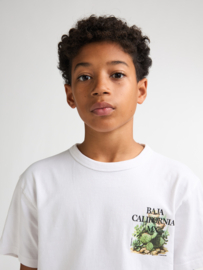 Shirt PETROL B-1060-TSR654 bright white