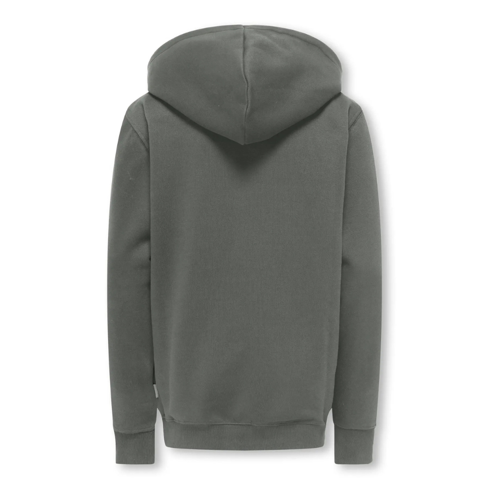 Hoodie ONLY&SONS osjcurated grijs