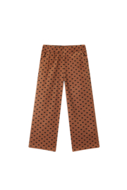 Broek SOMEONE Hiver light brown