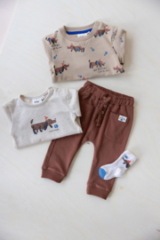 Sweater Feetje Go Fetch zand aop 51602469