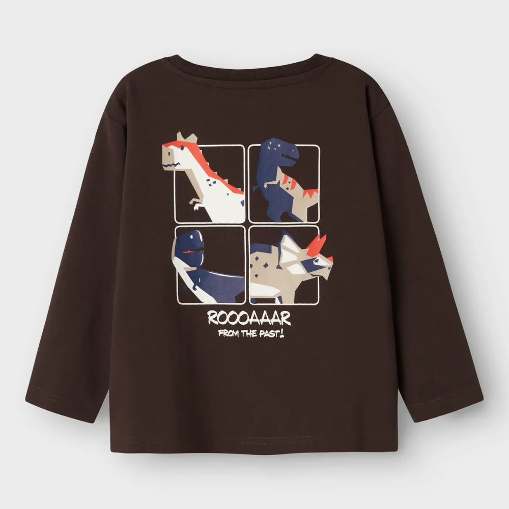 Longsleeve NAME IT Nathan bruin