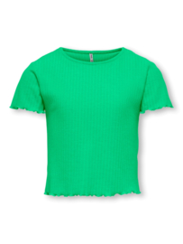 Shirt ONLY nella groen