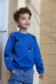 Sweater STURDY waves and whales aqua 71600646