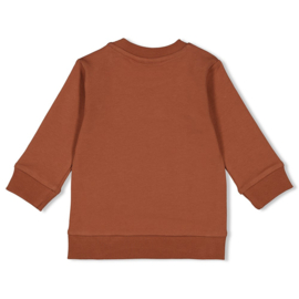 Sweater Feetje Go Fetch bruin 51602472