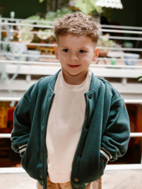 Fleece vest DAILY7 BOYS blue spruce 920223