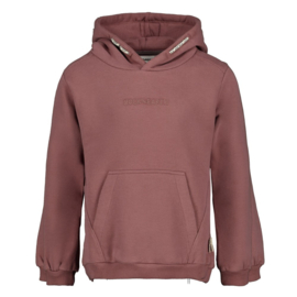 Hoodie STURDY rock the earth mauve 71600677