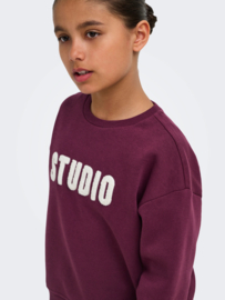 Trui SWEAT LS CREW NOOS fig