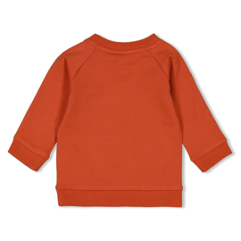 Sweater Feetje Go Fetch brique 51602474