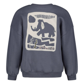 Sweater STURDY rock the earth backprint blauw 71600682