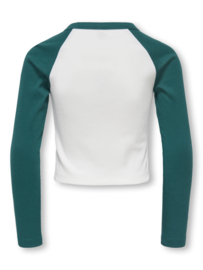 Longsleeve ONLY LUCKY June bug