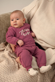 Longsleeve FEETJE afternoon tea rib 51602823 berry