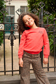 Sweater JUBEL city chic rood 91600493