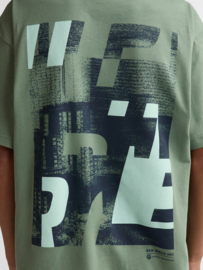 Shirt PETROL B-1060-TSR676 sage