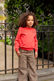 Sweater JUBEL city chic rood 91600493