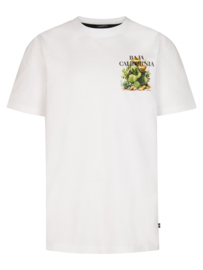 Shirt PETROL B-1060-TSR654 bright white