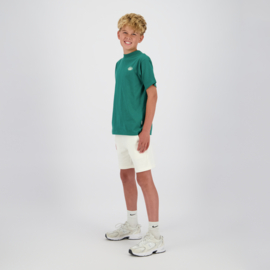 Shirt RAIZZED boys Hepic Jazlin green (R126KB300072-1476)