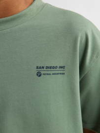 Shirt PETROL B-1060-TSR676 sage