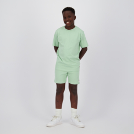 Shirt RAIZZED BOYS Hock soft green