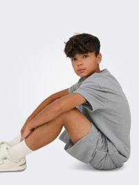 Korte broek ONLY&SONS Kian sedona sage