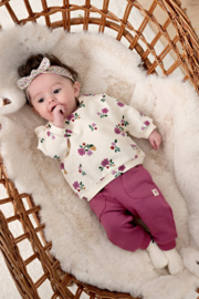 Sweater FEETJE afternoon tea 51602822 creme