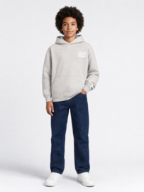 Sweater PETROL hooded print B-3060-SWH352 ice grey
