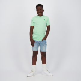Shirt RAIZZED BOYS Hoosic fresh opal