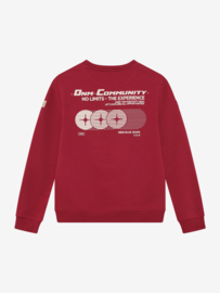 Sweater IBJ BOYS chest and backprint soft bordeaux 960826