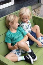 Shirt STURDY explore more groen 71700473