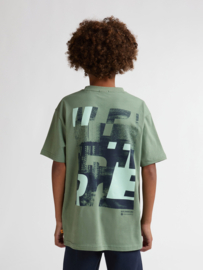 Shirt PETROL B-1060-TSR676 sage