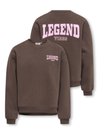 Sweater ONLY Vicky braken