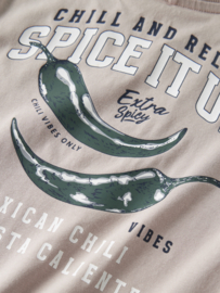 Shirt NAME IT boys Hughe chateau gray