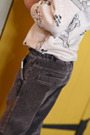 Corduroy broek STURDY Mountain top 72200265 grijs