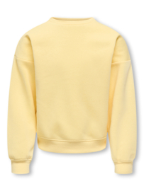 Trui SWEAT L/S BACK/SLEEVE PRINT NOOS mellow yellow