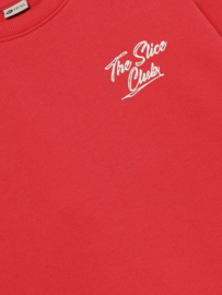 Oversized sweater DAILY7 BOYS 920287 Chrysanthemum